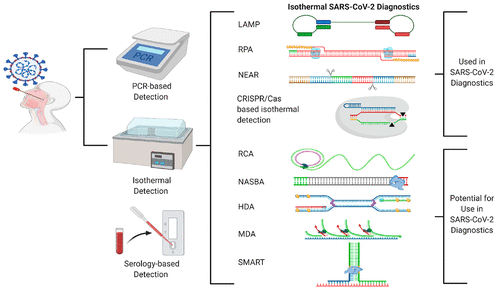 Isothermal SARS-CoV-2 diagnostics: tools for enabling distributed pandemic testing as a means of supporting safe reopeni