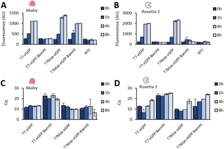 Akaby—Cell-free protein expression system for linear templates