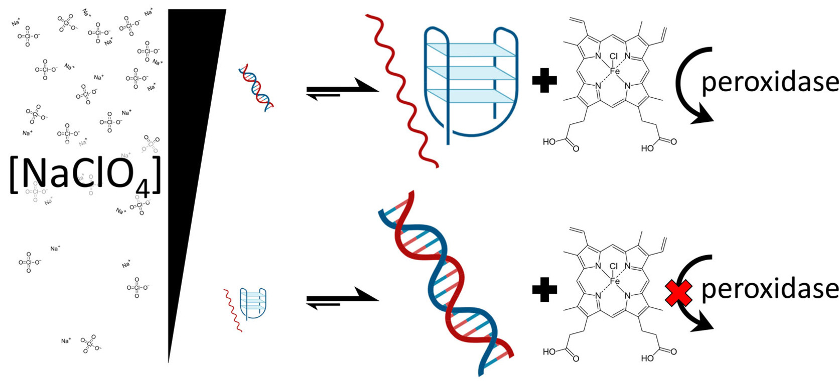 Switchable DNA-Based Peroxidases Controlled by a Chaotropic Ion