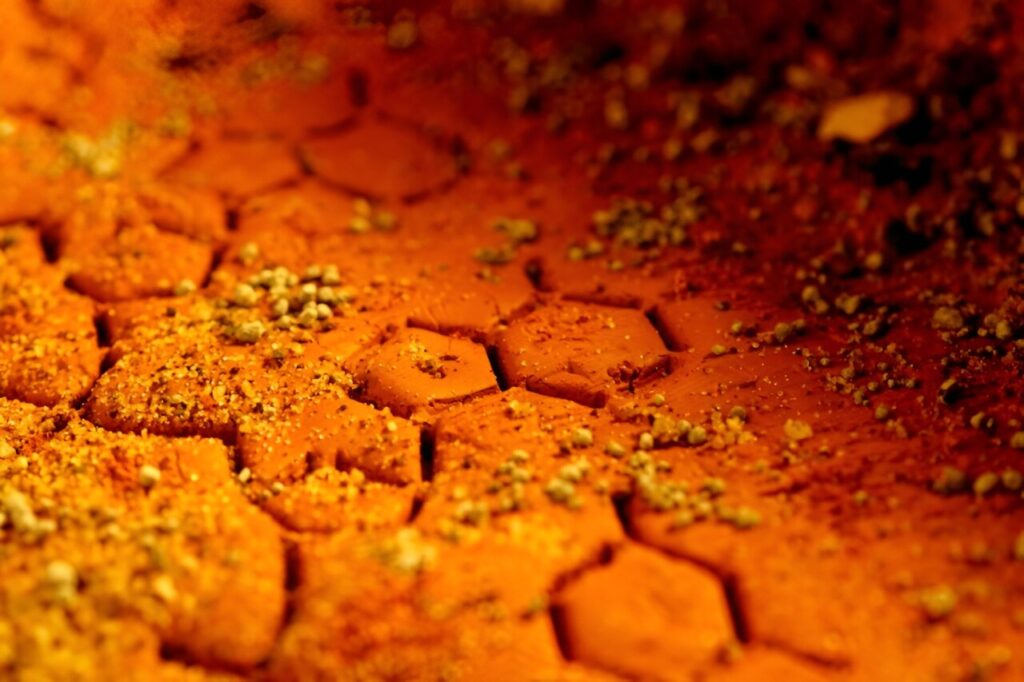 Close-up photograph of red-orange desiccated soil with hexagonal cracking patterns and mineral granules, resembling evaporite deposits analogous to Martian surface conditions